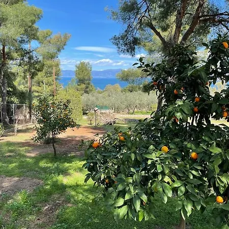 Stunning Evia Sea View * Theologos (Phthiotis)