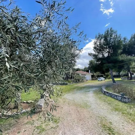 Stunning Evia Sea View